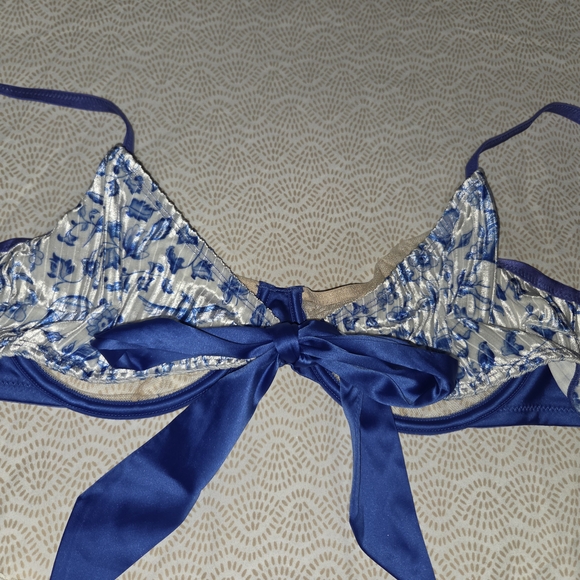 NWT Savage X Fenty Blue and White Lingerie Bra Size 36D, Panties M - Picture 4 of 9